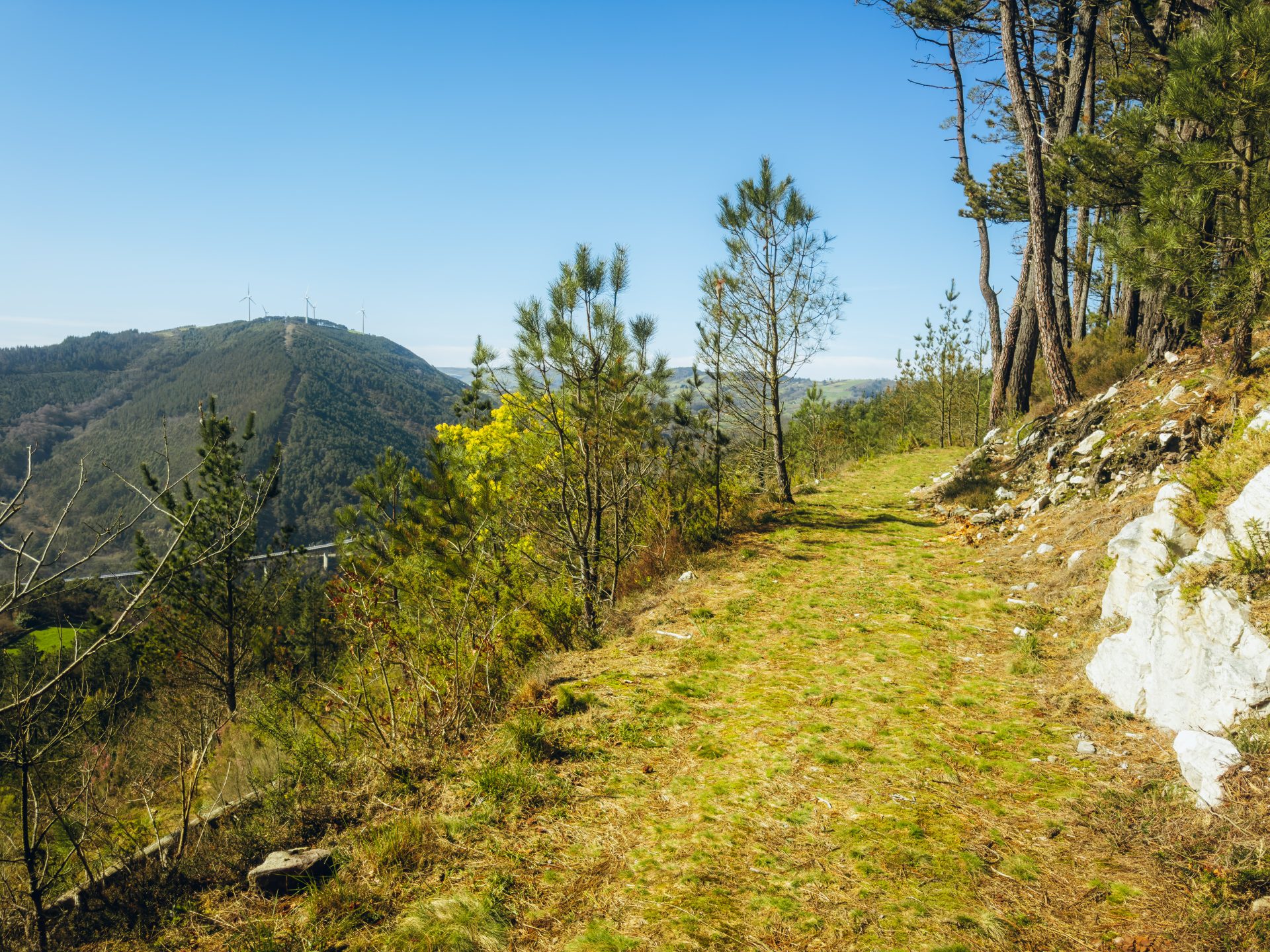 Sector de El Viso - 5